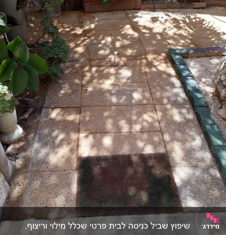 שביל מרוצף עם אריחים, צמחייה מסביב